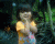 Aulia 00011